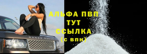 гашик Белокуриха