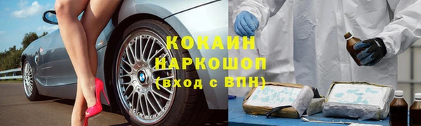 гашик Белокуриха