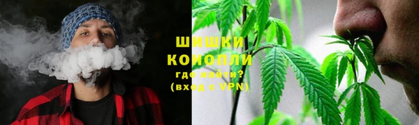 гашик Белокуриха