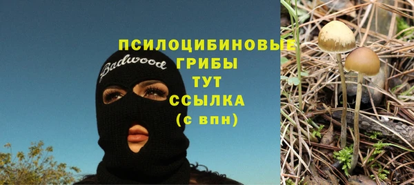 гашик Белокуриха
