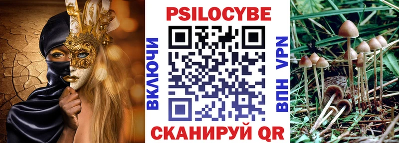 Псилоцибиновые грибы Psilocybe  Энем 